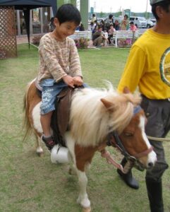 ポニーと子供