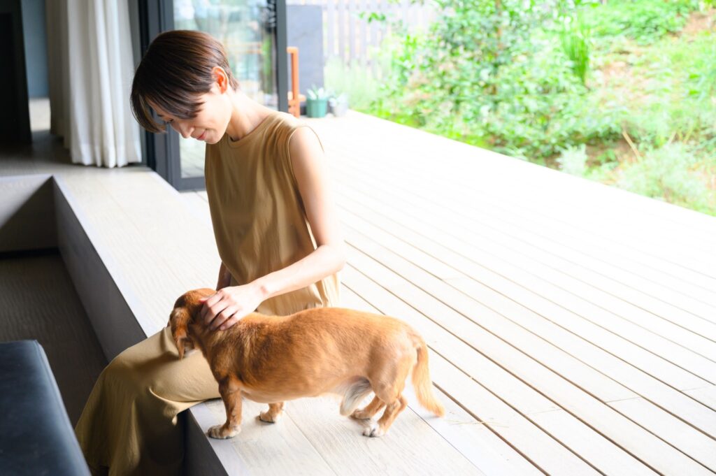 ウッドデッキに犬と座っている女性