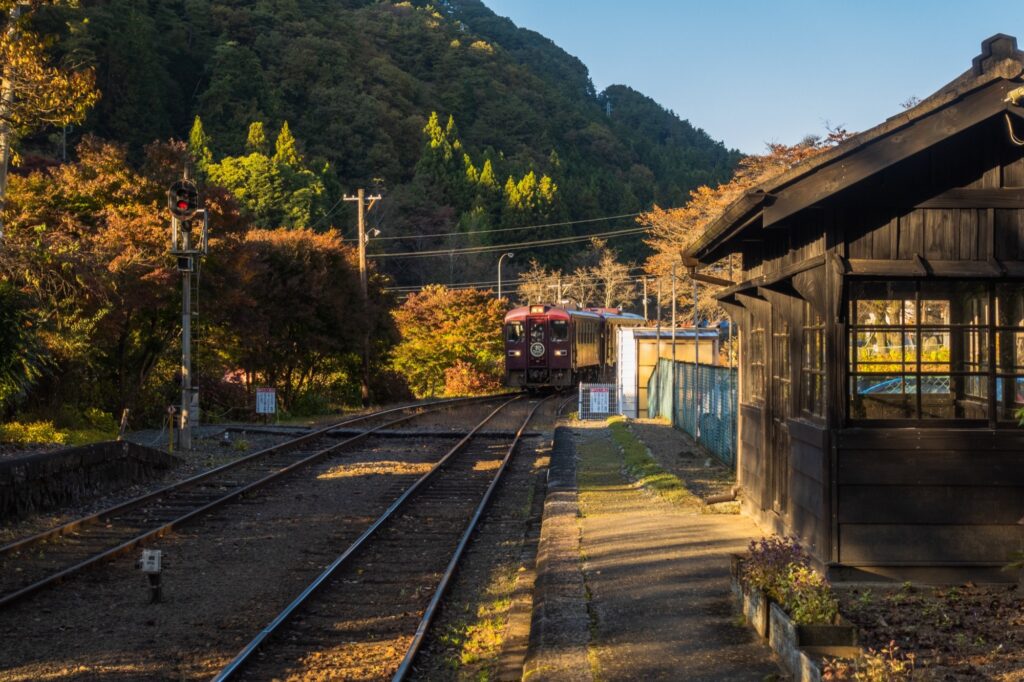 紅葉した山の中の駅と電車