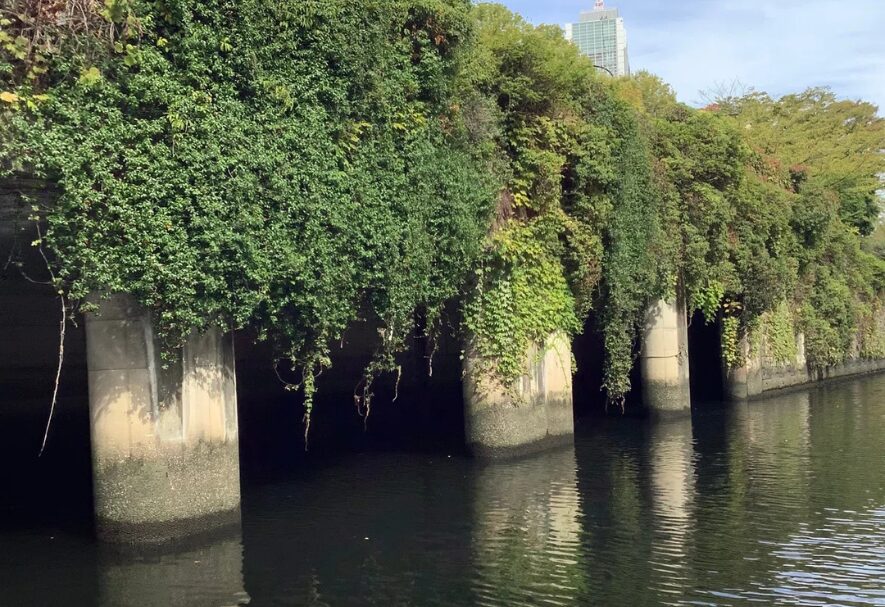 太田市新田商工会建設部会<br>視察研修会レポート<br>〜国会議事堂参観と神田川・日本橋クルーズ〜